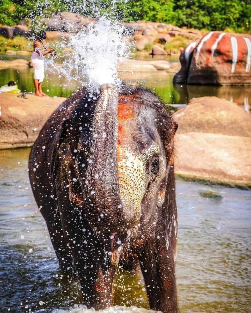 Mamatha Guest Inn Hampi Kültér fotó